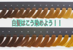 トリートメント頑張っても髪の毛は治らない トリートメントの理想的な頻度と髪の毛の生活習慣 日本橋小伝馬町altemaサロン Altema